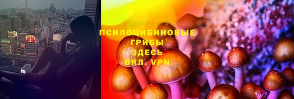 кристаллы Гусев